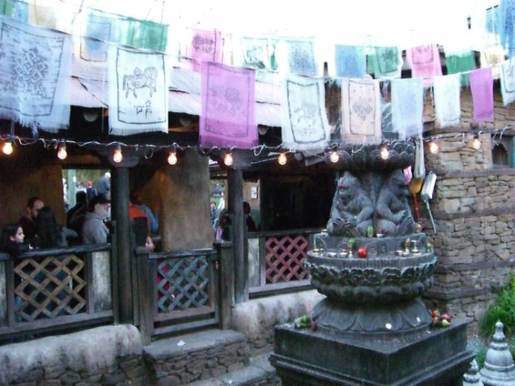 Expedition Everest queue