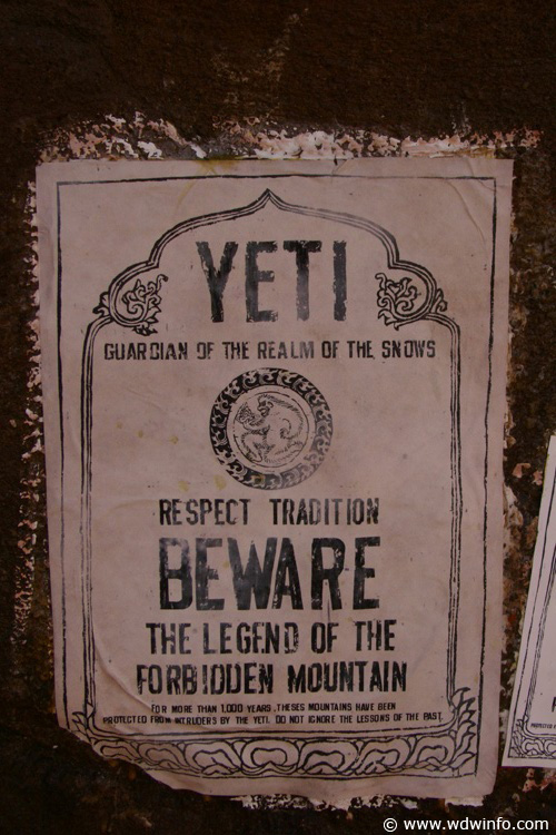 Expedition_Everest_21