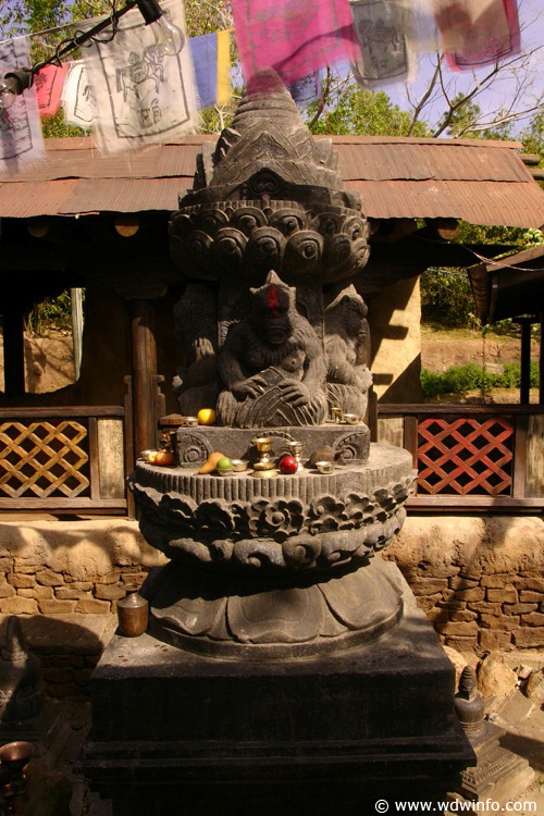 Expedition_Everest_Queue_06