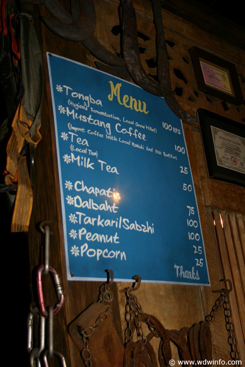 Expedition_Everest_Queue_16