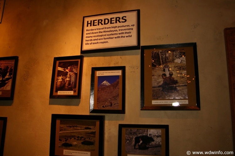 Expedition_Everest_Queue_38