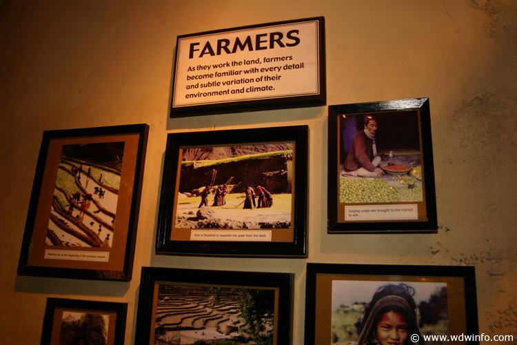 Expedition_Everest_Queue_41