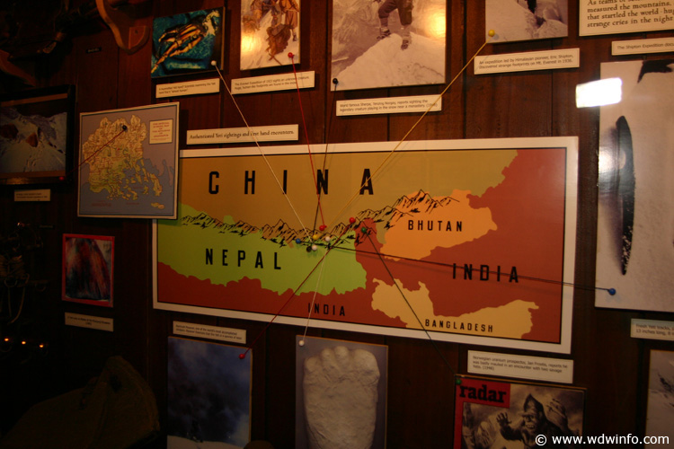 Expedition_Everest_Queue_54