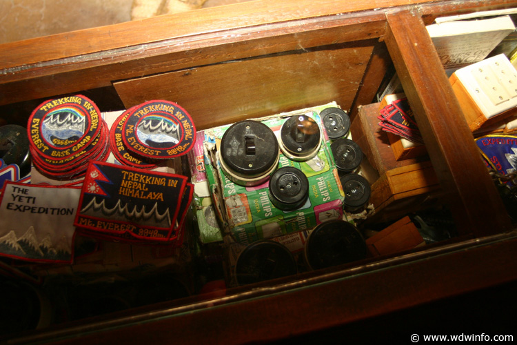 Expedition_Everest_Queue_59