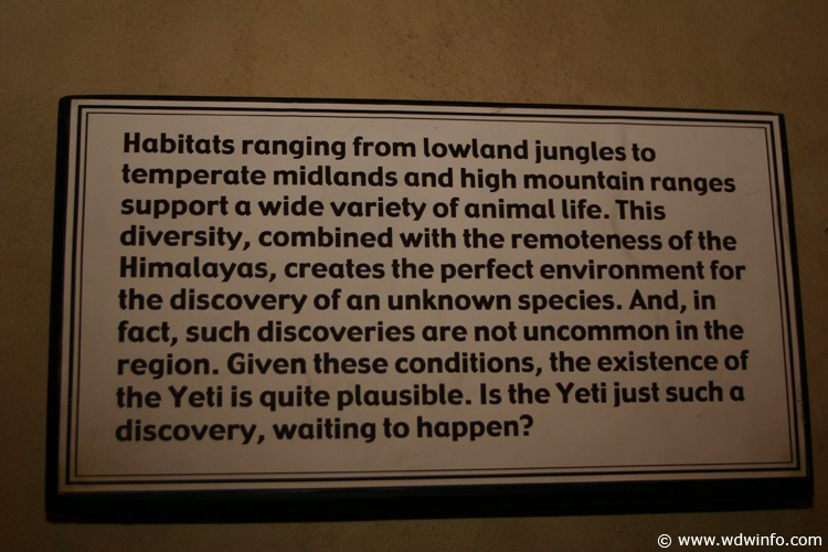 Expedition_Everest_Queue_71