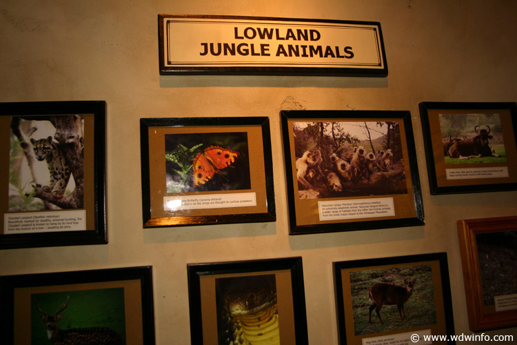 Expedition_Everest_Queue_72