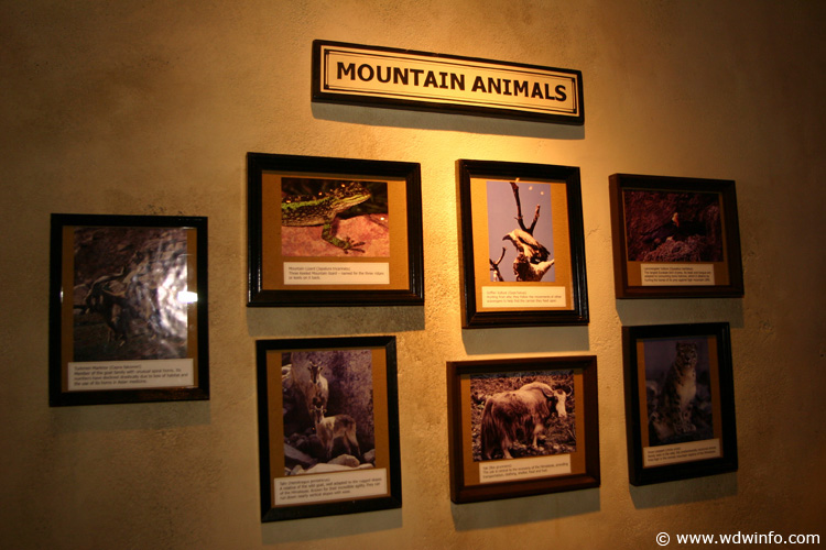 Expedition_Everest_Queue_74