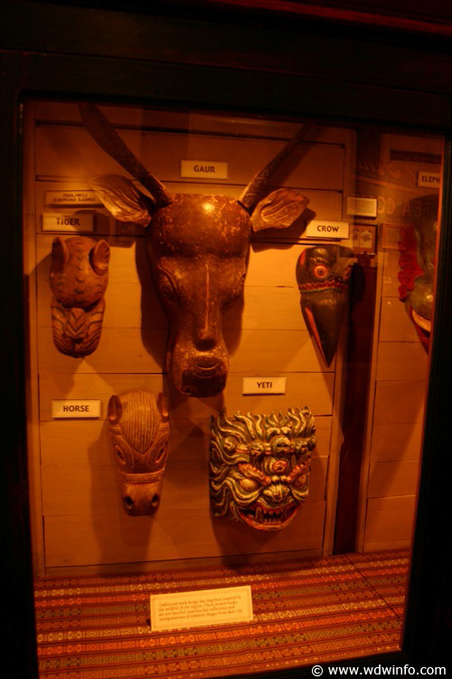 Expedition_Everest_Queue_76