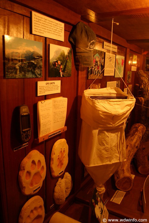 Expedition_Everest_Queue_78