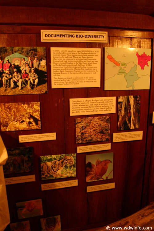 Expedition_Everest_Queue_79