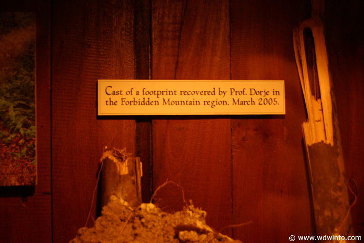Expedition_Everest_Queue_82