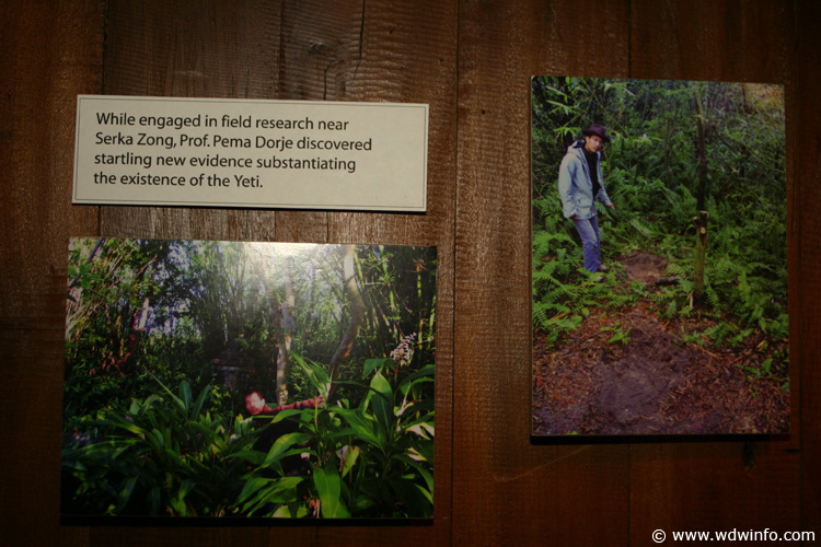 Expedition_Everest_Queue_83