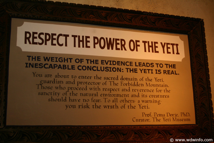 Expedition_Everest_Queue_84