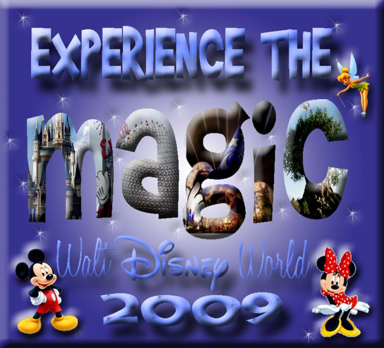 experiencethemagicMICKEY09
