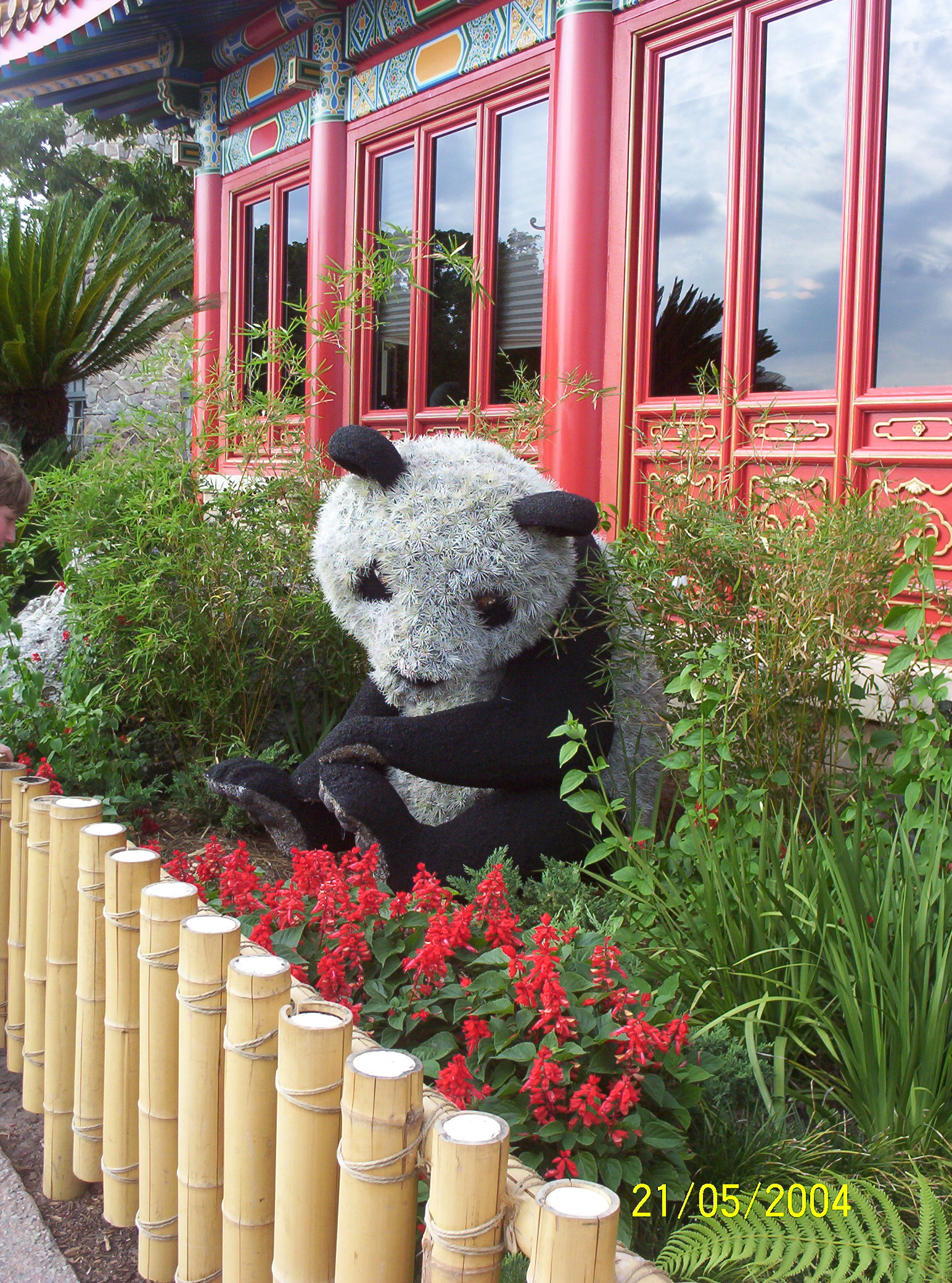 F&G  Panda