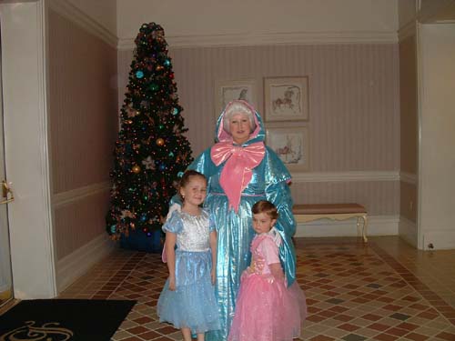 Fairy godmother
