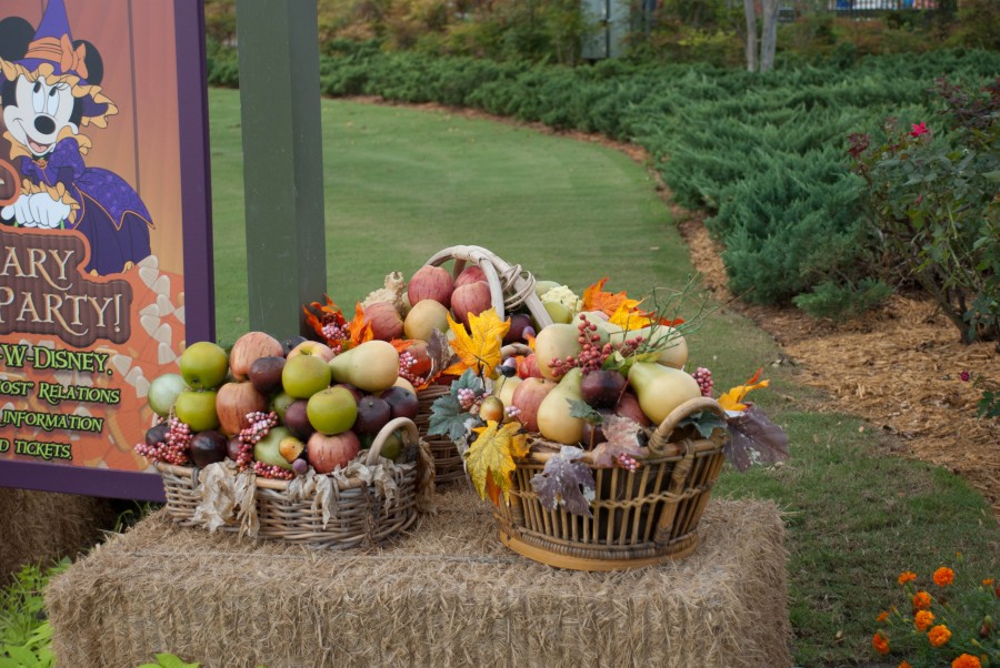 Fall_foods_-_apples