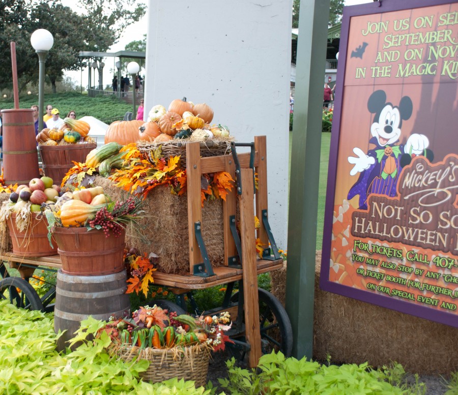 Fall_foods_-_pumpkins_squash