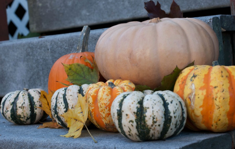 Fall_Foods_Pumpkins