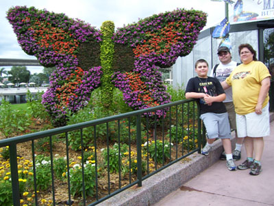 fambutterfly