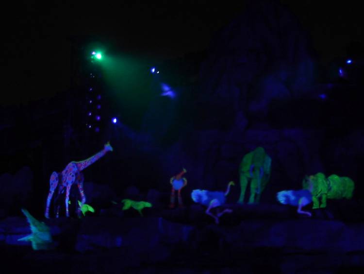 Fantasmic Lion King
