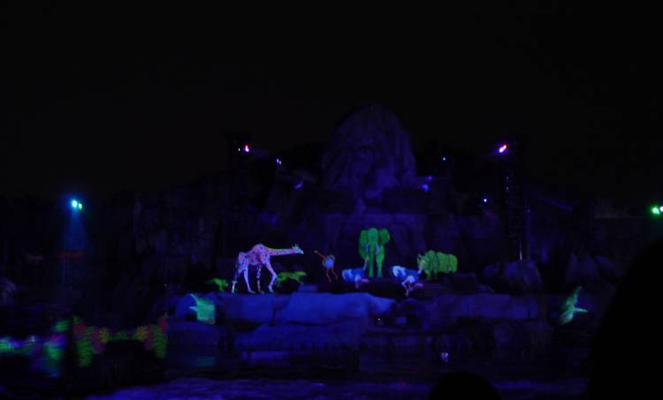 Fantasmic! Lion King