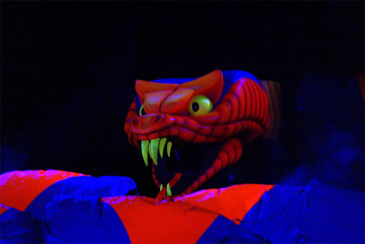 Fantasmic snake