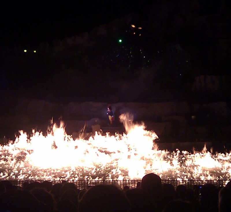 Fantasmic