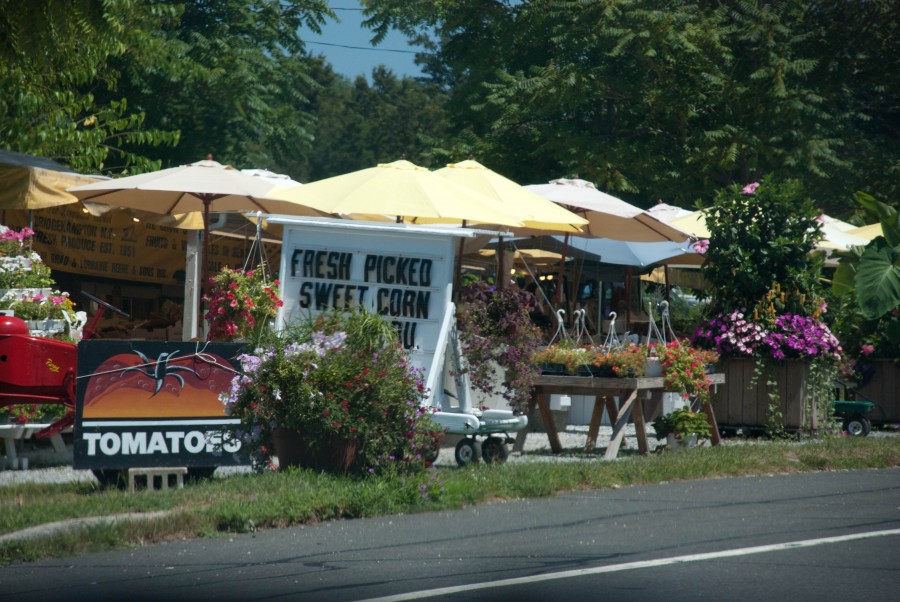 farmstand