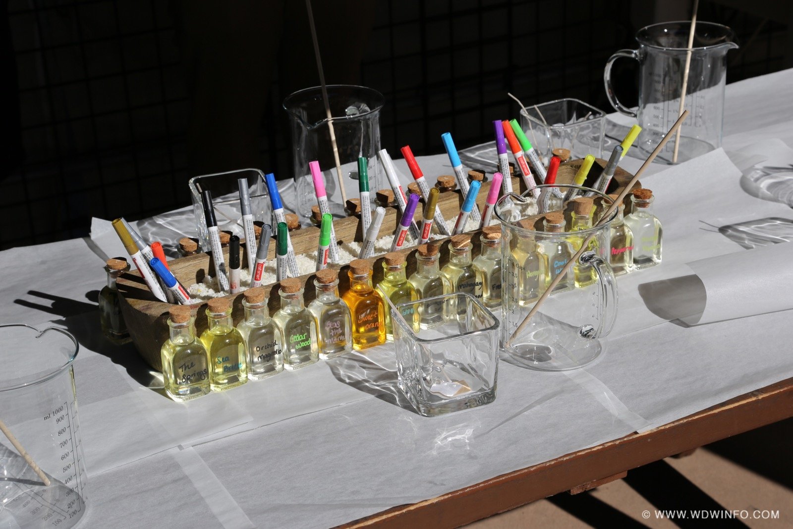 Festival-of-the-Arts-2019-042