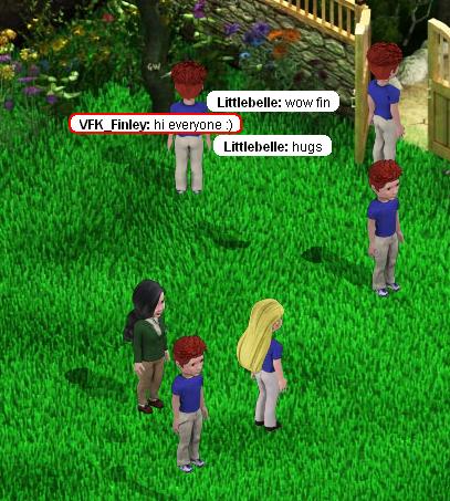 fin_small1