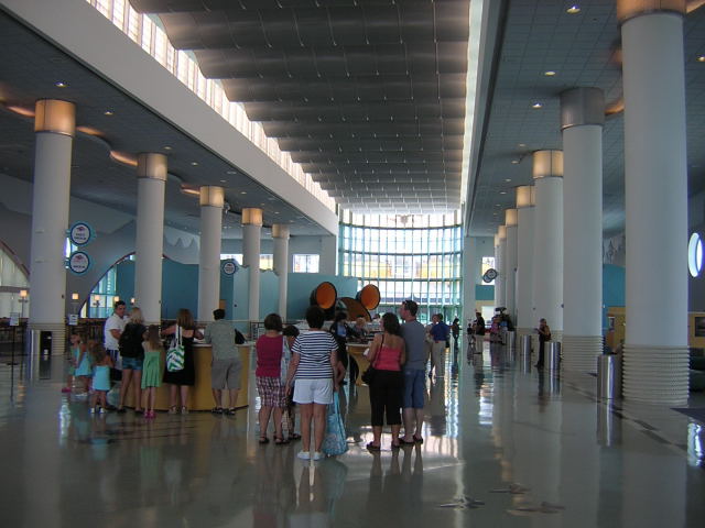 Finally in the terminal