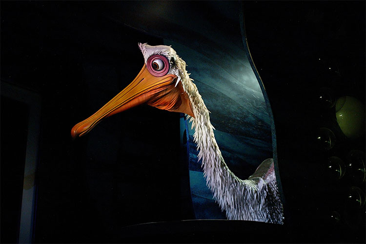 Finding Nemo - Pelican