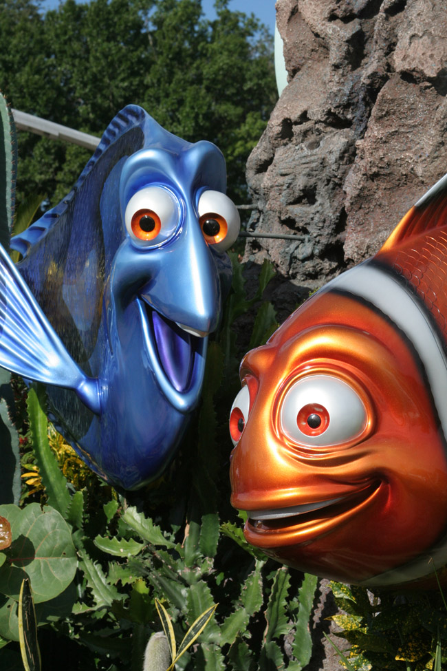 Finding Nemo.......