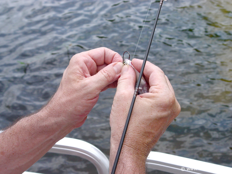 Fishing_at_Disney_World_18