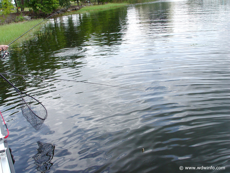 Fishing_at_Disney_World_19