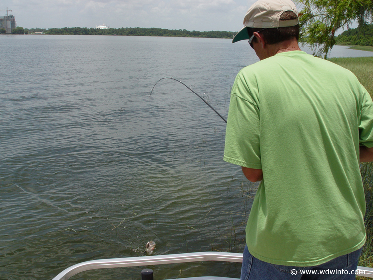 Fishing_at_Disney_World_21