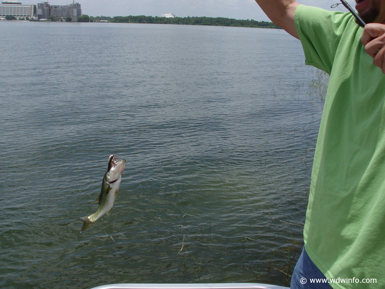 Fishing_at_Disney_World_22