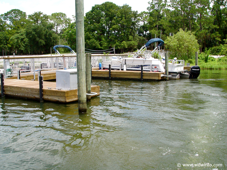 Fishing_at_Disney_World_42