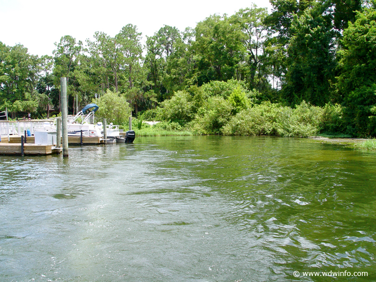 Fishing_at_Disney_World_43