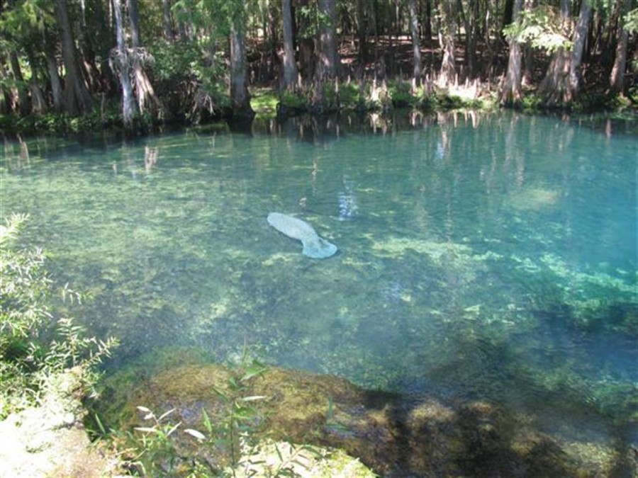 FL
