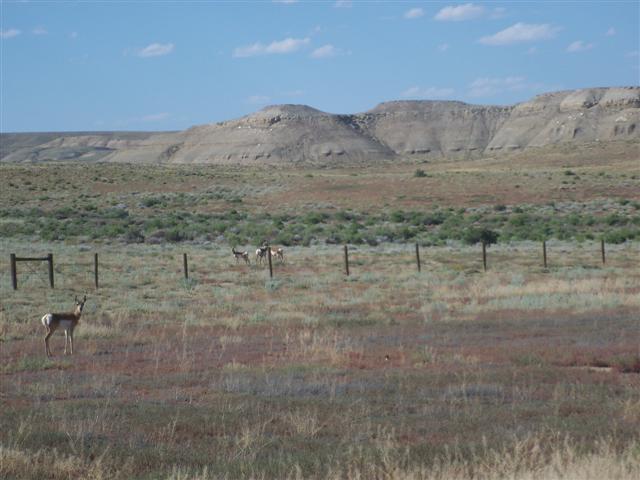 Flaming Gorge