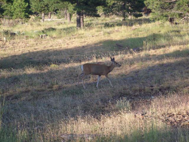 Flaming Gorge