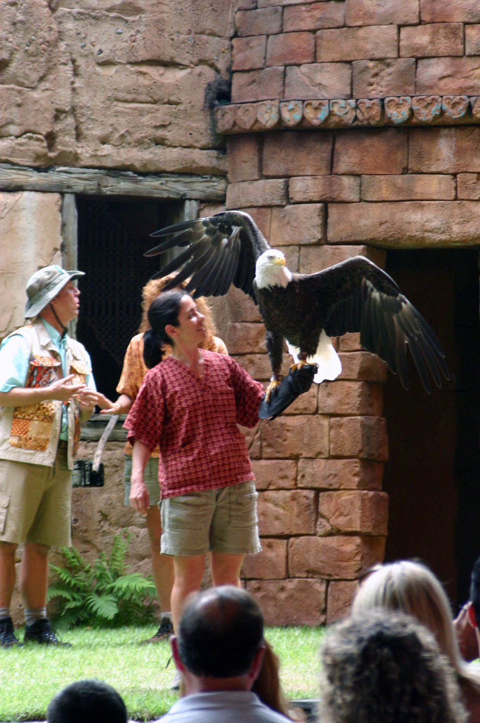 Flights of Wonder