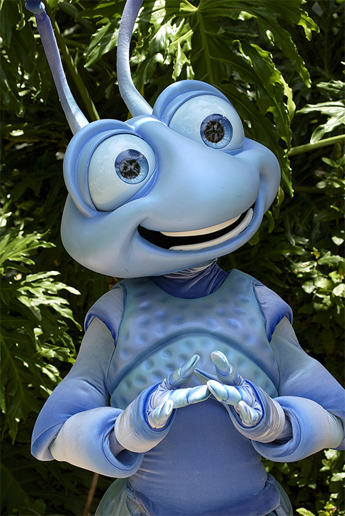 Flik