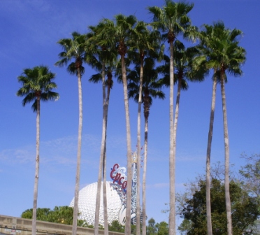 florida_075