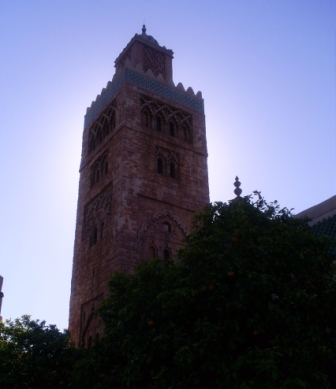 florida_110