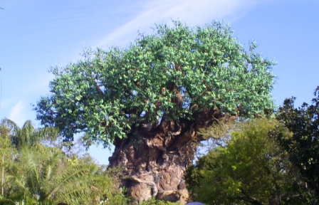 florida_180