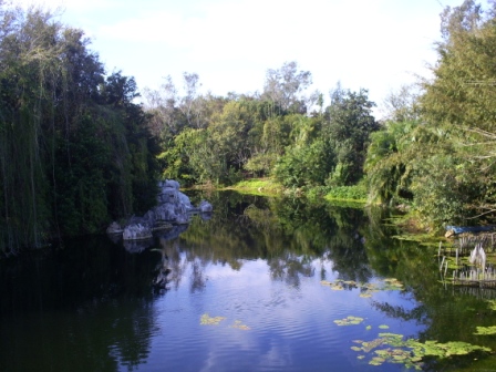 florida_182