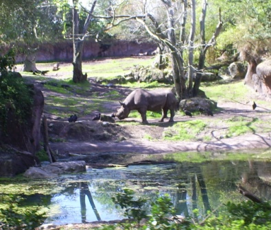 florida_188
